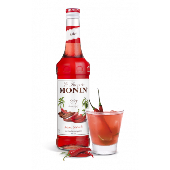 Monin Kořeněný/Spicy sirup...