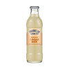 Franklin & Sons Ginger Beer zázvorová limonáda 0,20 L